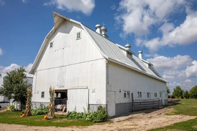 Why Dairy Barns Are Going Concrete (Ammonia + Moisture) 1 image 20